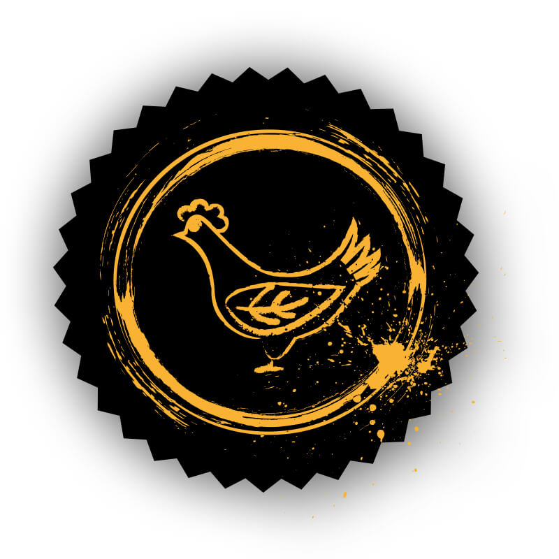 strausdesign-referenz-mib-webdesign-chickenicon