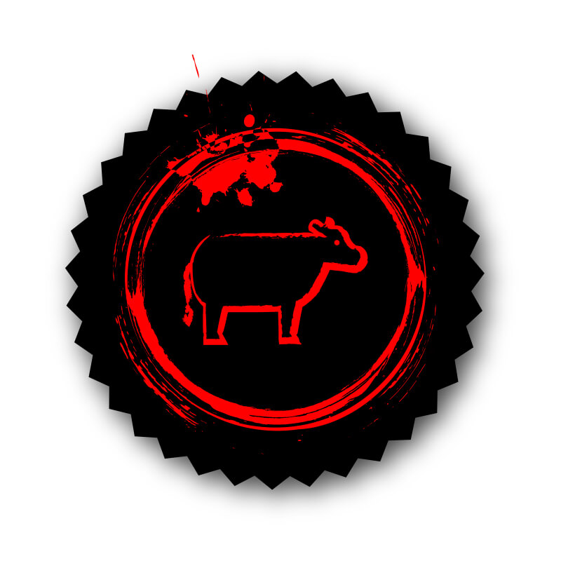 strausdesign-referenz-mib-webdesign-kalbicon