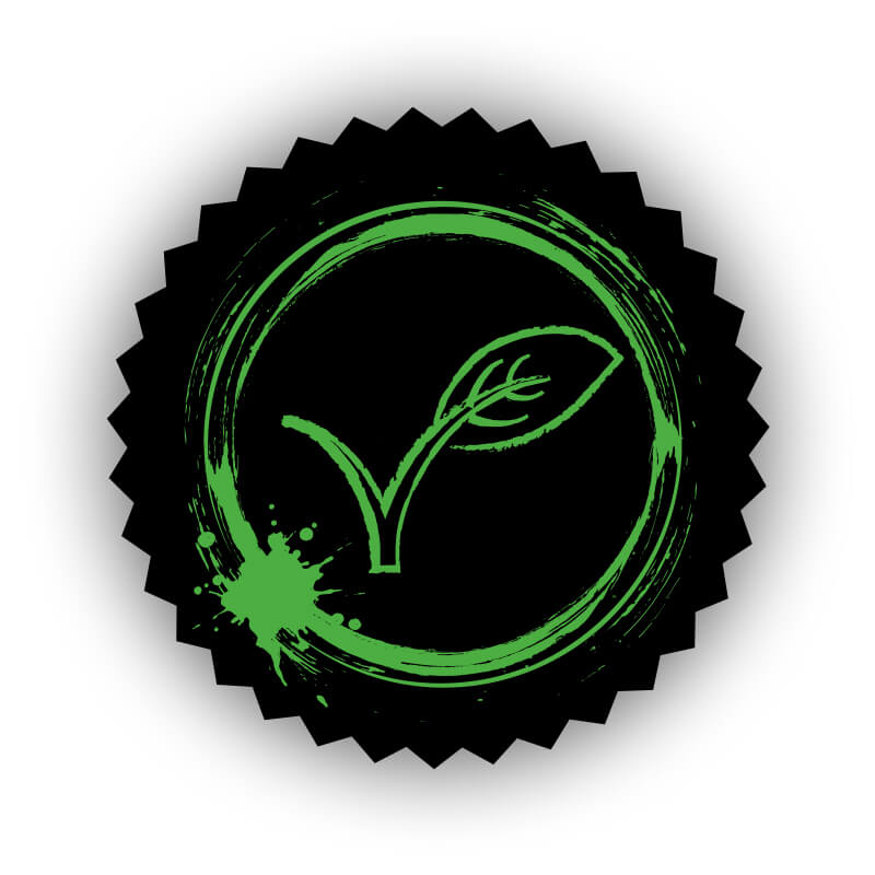 strausdesign-referenz-mib-webdesign-veganicon